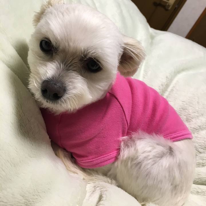 F4cf7e10 cac1 4b09 ad68 af975273d1ea 1542886187656