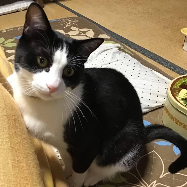 F4cfa51c 9183 4ca9 947e 8974256087f3 1652869737481