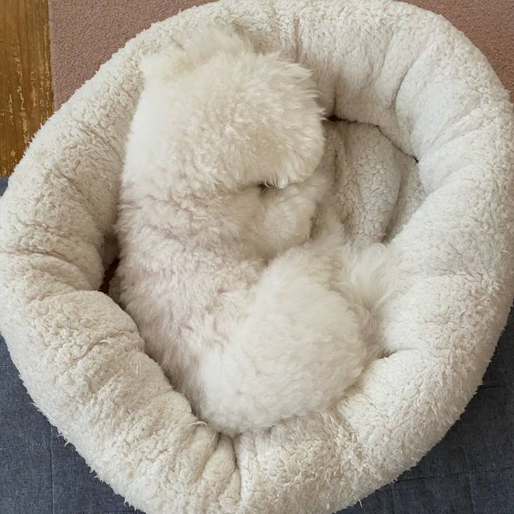 F4cfb54c de67 40c2 af91 87dd11e99bd0 1634798922820