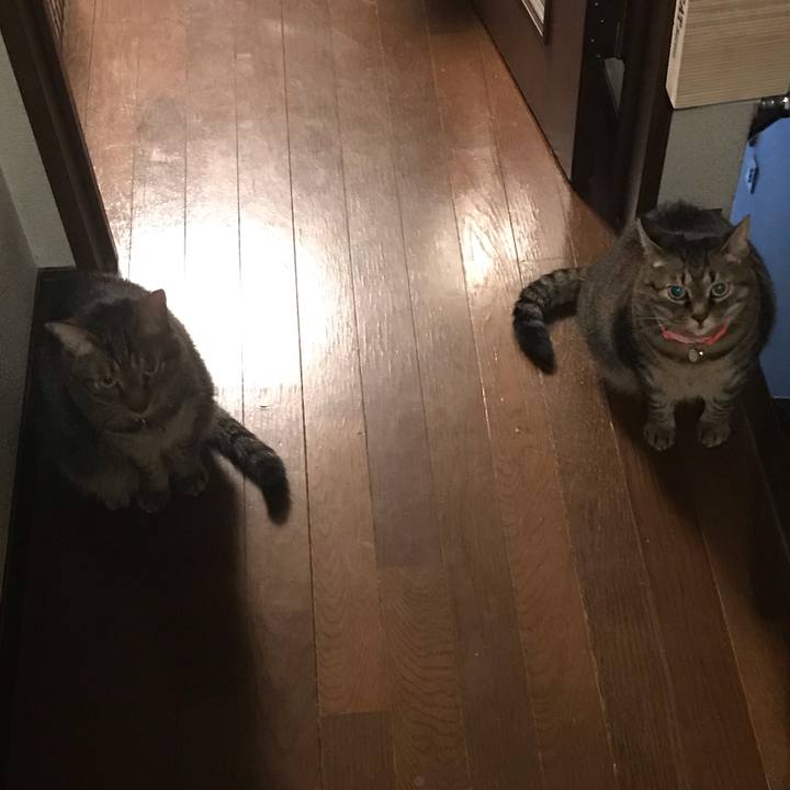 F4cfc08a d576 4004 a2f7 925cda77a129 1589471996298