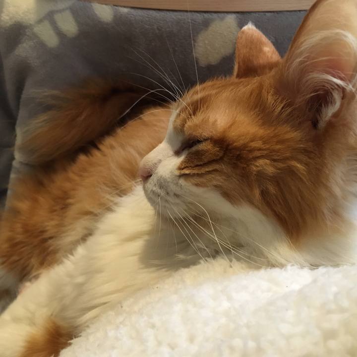 F4cff242 a911 4a6e a073 18e6ce984906 1574396149806