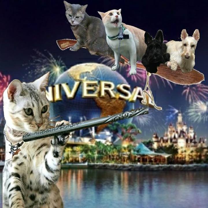 F4cff7ad 2536 4a58 afc5 e7365dae927c 1529143681494