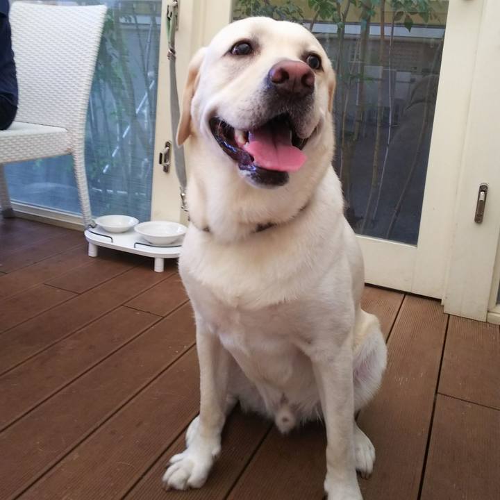 F4d02380 850b 4e3d 8d0c c5f0e69ce28c 1532838492079