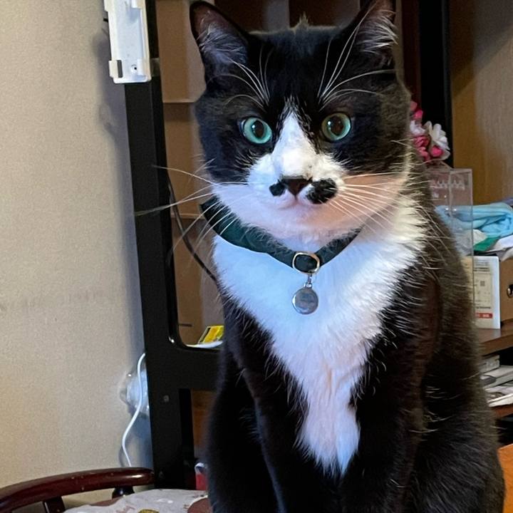 F4d04c5e 7306 4bc1 b9af 7f883a290441 1736120847269