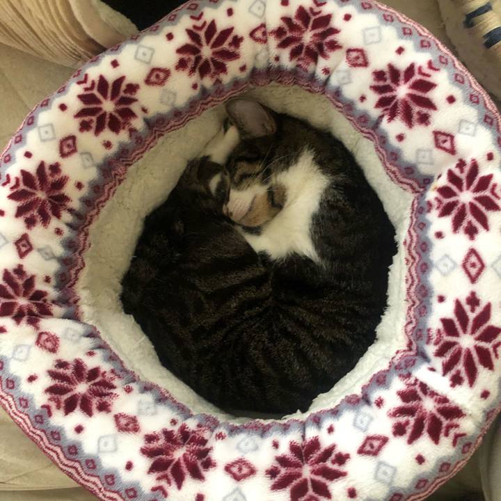 F4d05664 cd31 4001 b91e 0e308b79b472 1601999631090