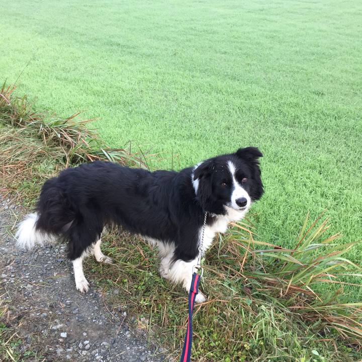 F4d0789d f6ac 427b 9d06 1129747374d9 1573081675936