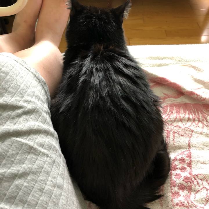 F4d085f8 8955 41d5 9502 1b515105ff42 1568415174369