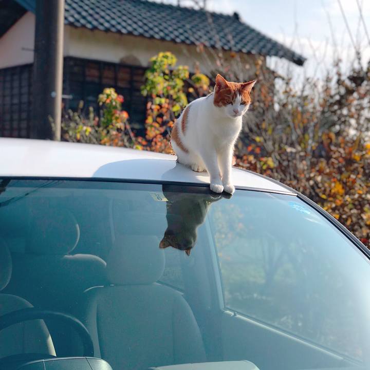 F4d0bc67 3550 4a49 b067 eff376e6295d 1541906793057