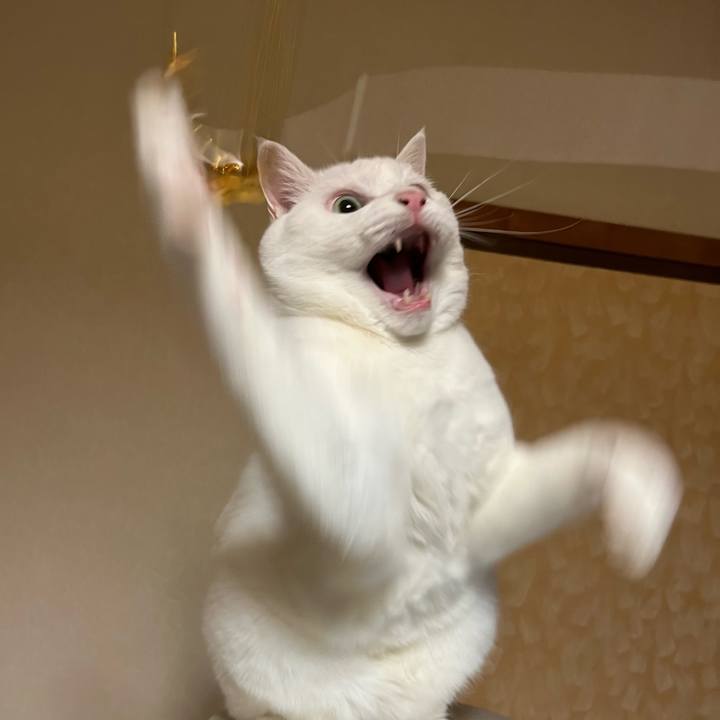 F4d0e9c2 1ec3 4481 b084 f15f4803d565 1692619403990