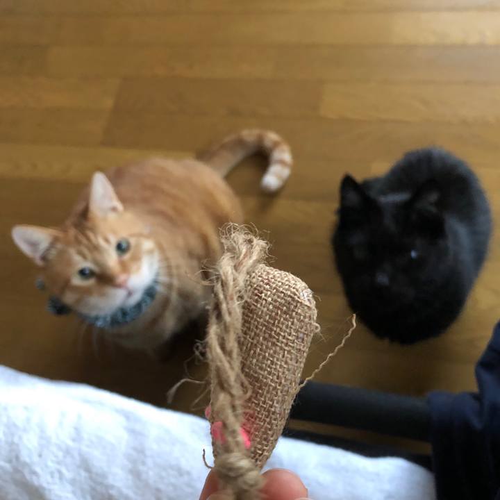 F4d11f12 9e3e 4fec b923 3fa8b4aac9e7 1589055501138