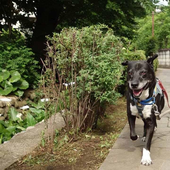 F4d12274 0e54 4321 a36e b250ec2b8ca8 1747960225605