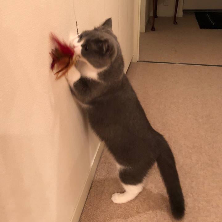 F4d1735f 32d8 496f 9a1d 4becc5492182 1535460466100