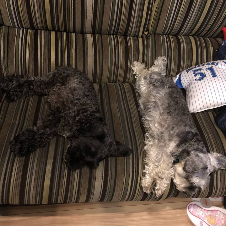 F4d18767 336d 4168 9906 1e8424e97762 1560947168089