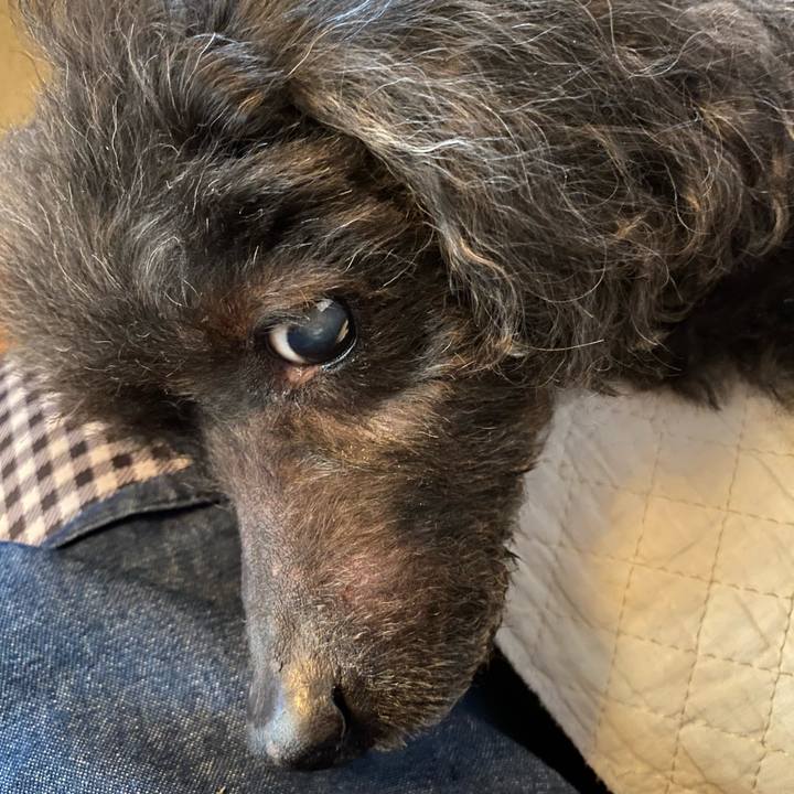 F4d19ec3 d17b 43da a230 29dda507d20e 1613799806914