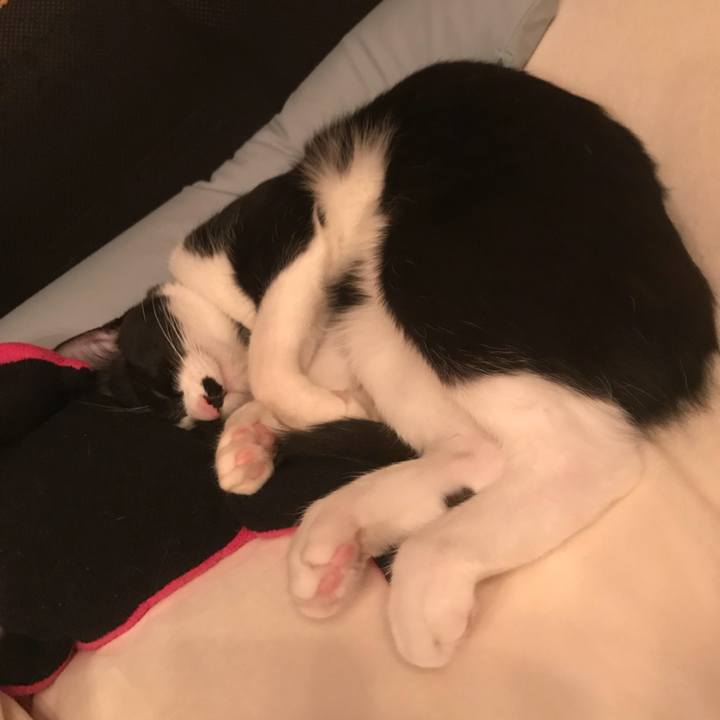 F4d1b39a 7a0d 44d1 9bc8 5c6097419f8a 1523416117887