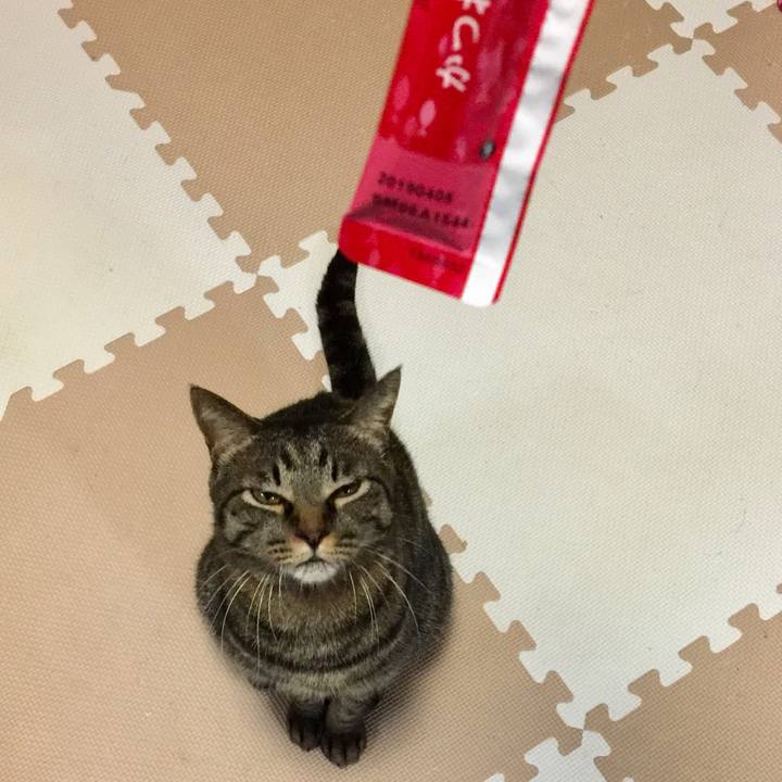 F4d1f2c4 0da4 4ec7 aede 18e27e3138d6 1510228109313