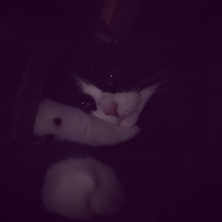 F4d1f927 4a5b 431f b9a2 cd2629fb2273 1610454369107