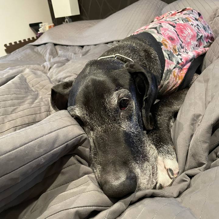 F4d2194a 3d03 4300 8944 73892f6d84d1 1612737137062