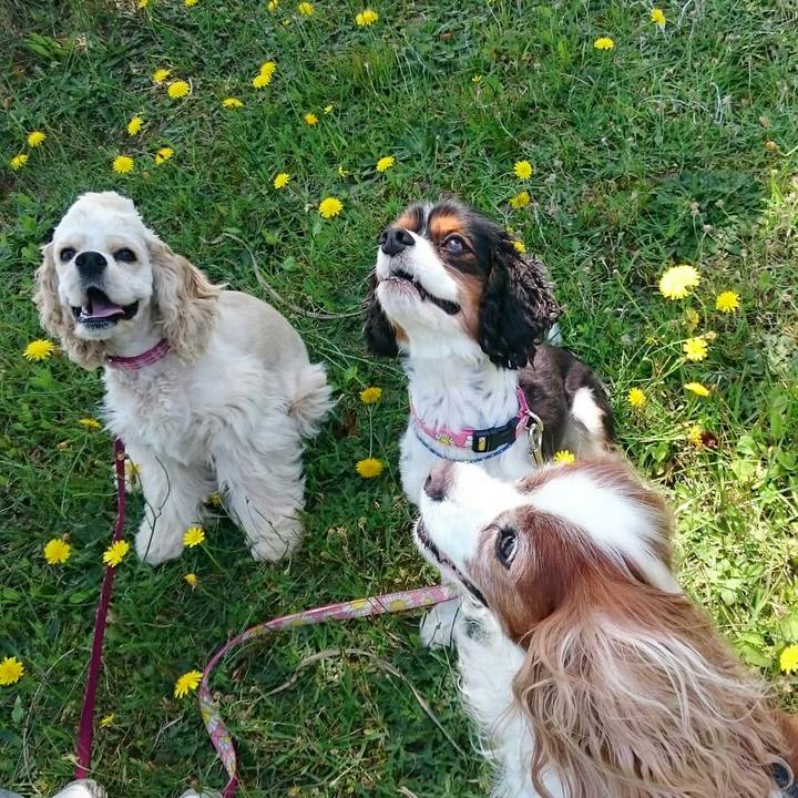 F4d21c15 c94f 4d61 9292 1217de7cf0d4 1561027277421