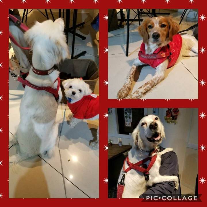 F4d263bb 92b4 4e2a b212 f25e8fa9cbc0 1514216720806