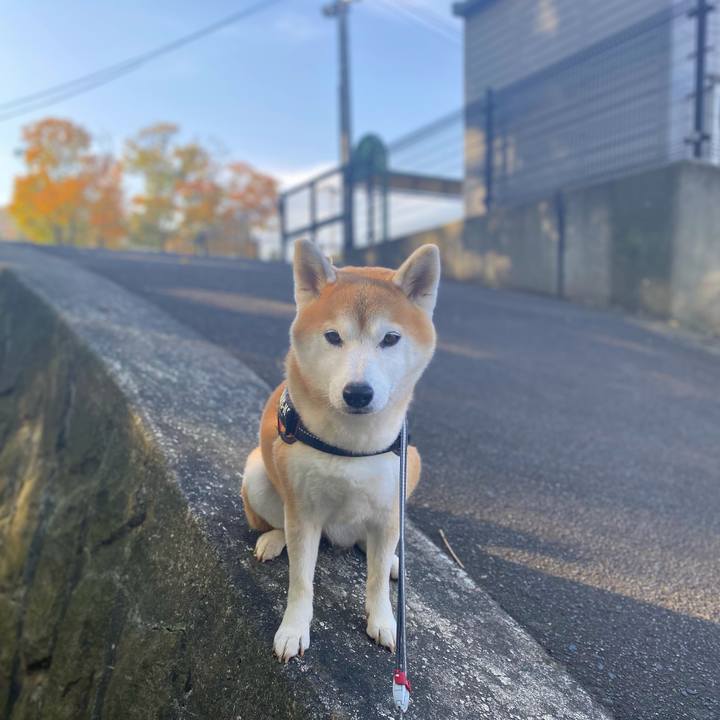 F4d28410 18f3 4e31 911e c1f77a967866 1666312390905