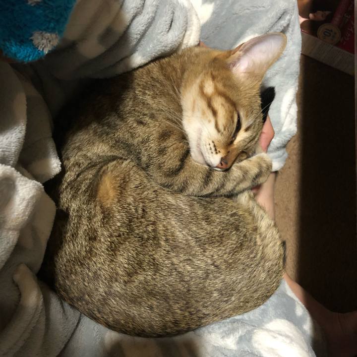 F4d289c9 20b7 4de8 a8fb 5875c48fcc54 1610290097186