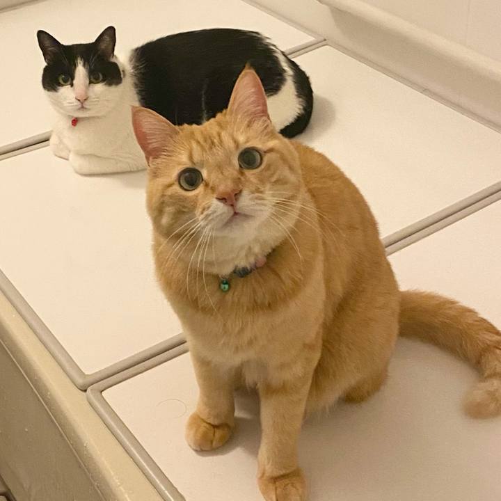 F4d2bfad 213d 4095 a14f 0e00b075b653 1647849977373