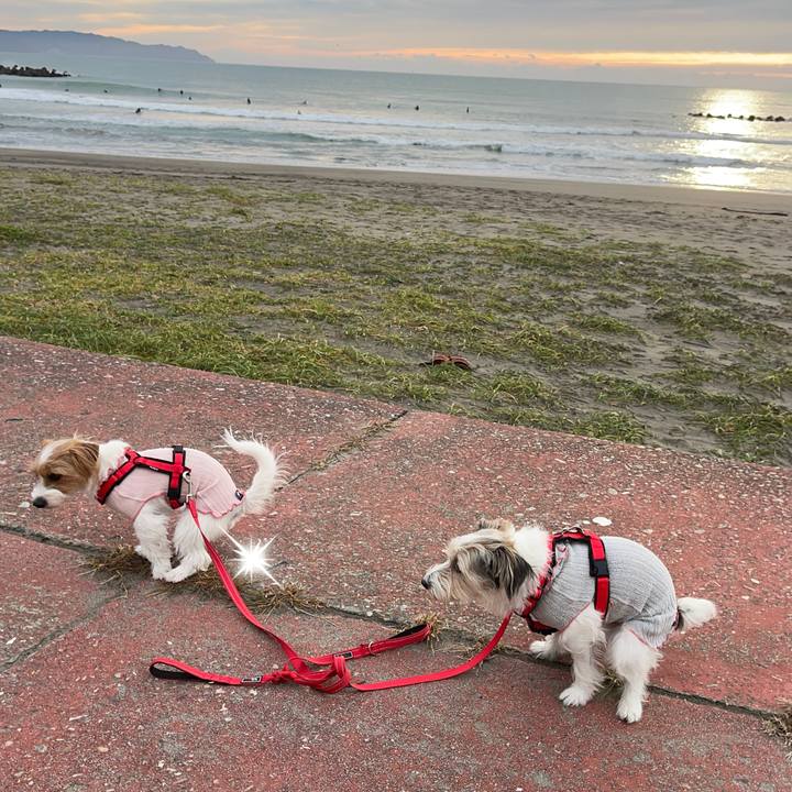 F4d2c3aa 3a35 434f 8c21 9510cbbbdd29 1762091753889