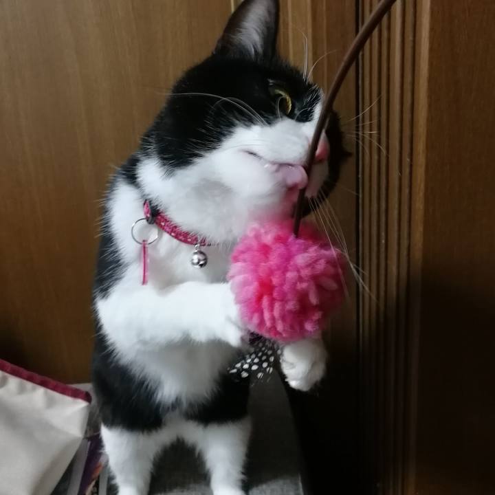 F4d3356f 5451 4ba5 9d53 4c60f6ef940f 1552573399265