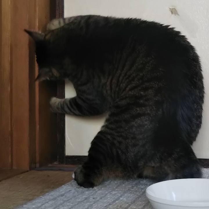 F4d39245 dfe2 47d7 8ef3 28bae7927bb3 1615433296706