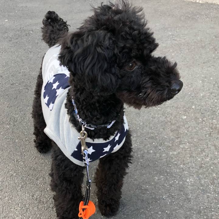 F4d3bd6a 6c31 4ae2 ac14 8f37c85c6019 1516431808003