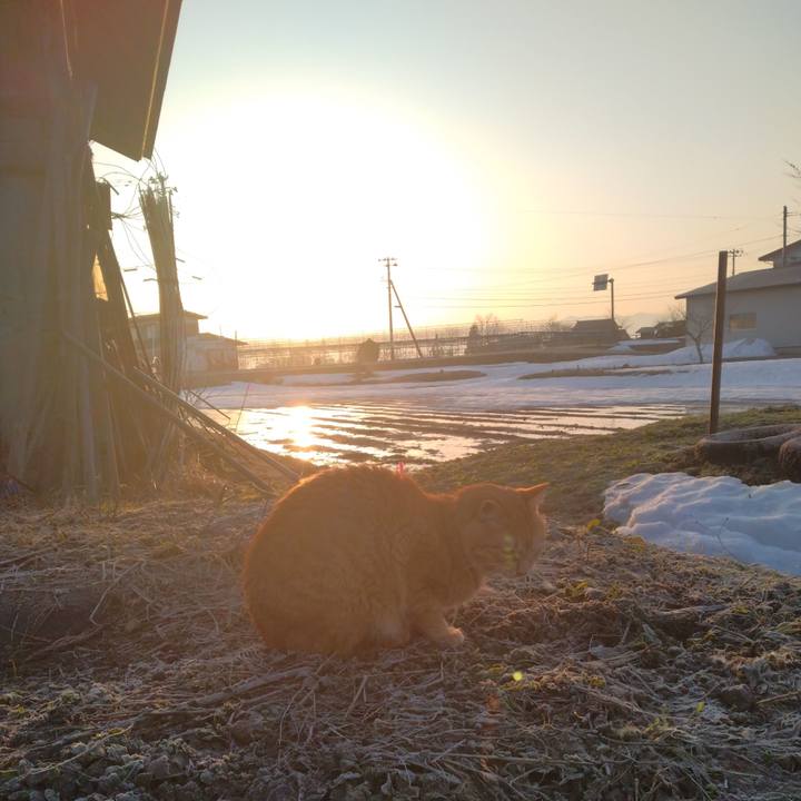 F4d3deba d584 4282 b63f 2c901c62acef 1678487648340