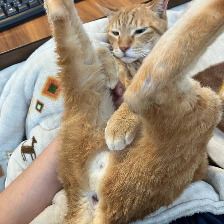 F4d3e6c4 1cdf 4b47 8f2f 29069f9b73a0 1773628166960