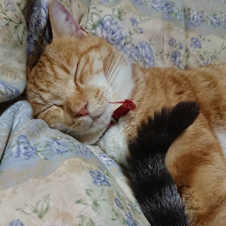 F4d3f80e 0619 4807 b1b2 6ea5f6fc8974 1575722452667