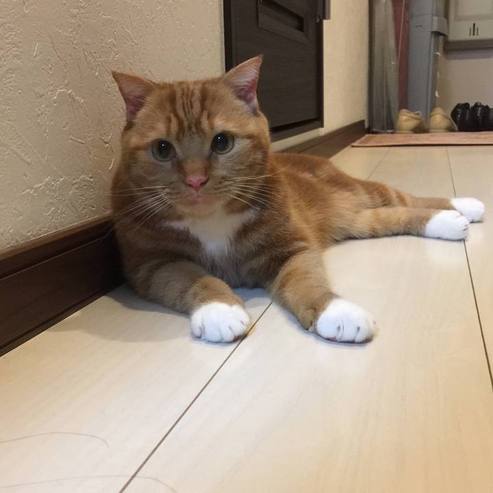 F4d42edc 7cc3 419e 9103 e7cd10a82f61 1554990335609