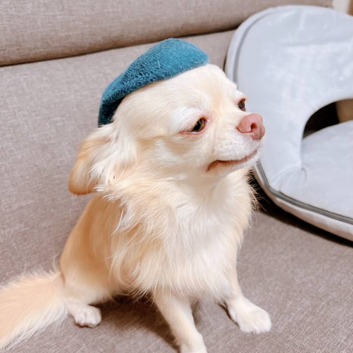 F4d48221 496e 4e3d 82d5 2e9621bb762a 1667799367811