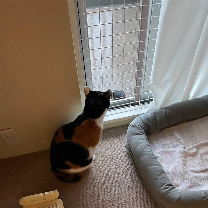 F4d486df 7185 4156 8945 5891513bbd1f 1631923911800