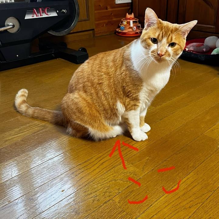 F4d591cf da83 45cb 88b8 43d44917925f 1708466220514