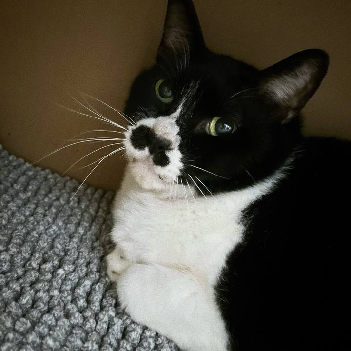 F4d5a611 090c 4e36 9e4f 96f8e43d2cac 1714795455929