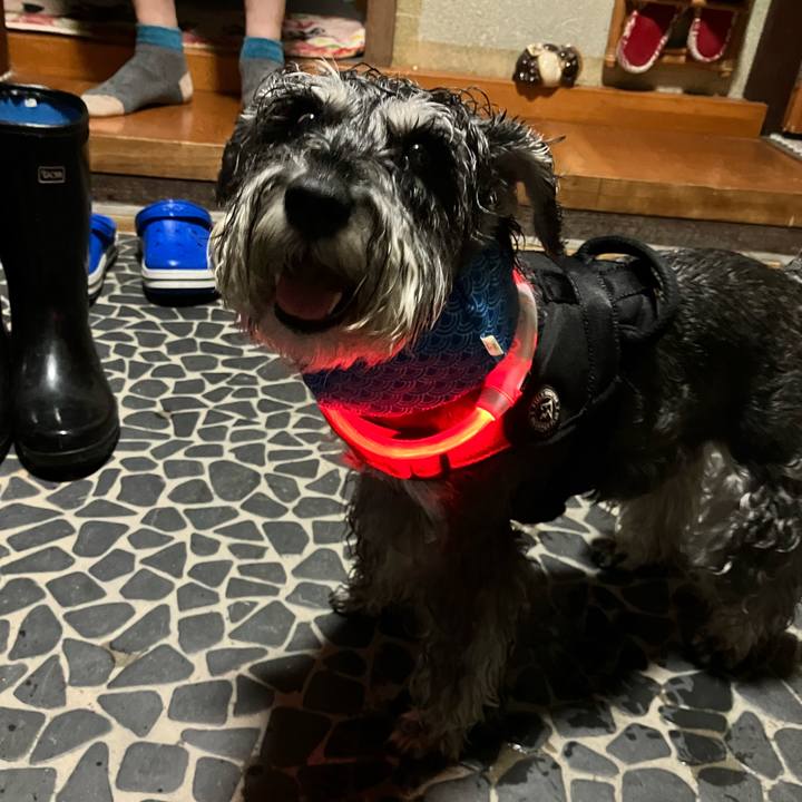 F4d5dd59 42b8 4c47 aa70 45a0d48bc77f 1724767444916