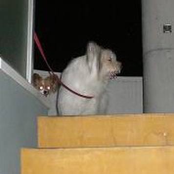 F4d5f416 c6cb 4879 af91 f040f9603170 1507872682609