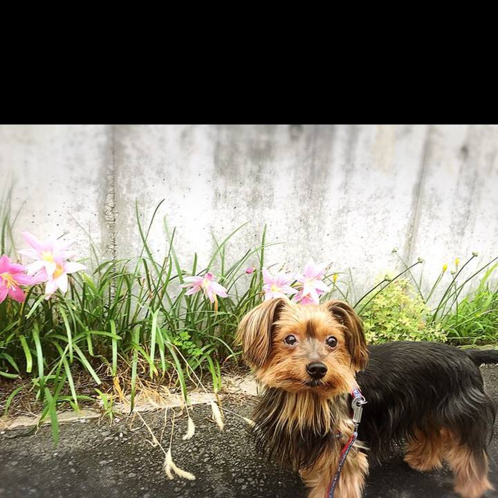 F4d63409 55b8 4cde 95d5 217d2ece6308 1534291371068