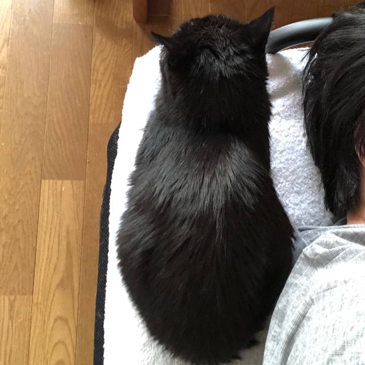 F4d636a0 917d 4c53 9ec2 b3288bd5406c 1586984833851