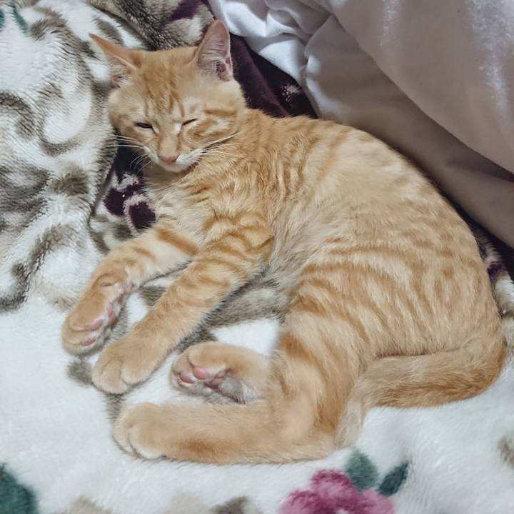 F4d63a5d c3ee 4c77 b8b3 c713b3943f29 1633694057481