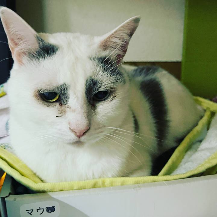 F4d649a5 0ff1 4aa9 b5ac 9e7f0ce77ac0 1668514996580