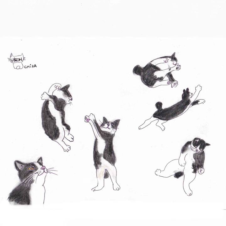 F4d64a9b d1db 4207 8f76 3487431e4588 1614008037123