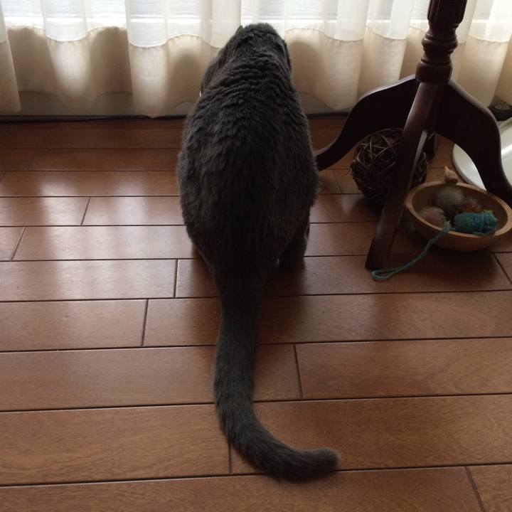 F4d68b2b 5bd5 4155 977c e1d88d7bfd2c 1534372574759