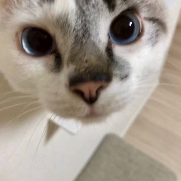 F4d6a550 8d36 47ff ad42 7e356445688b 1524006489202