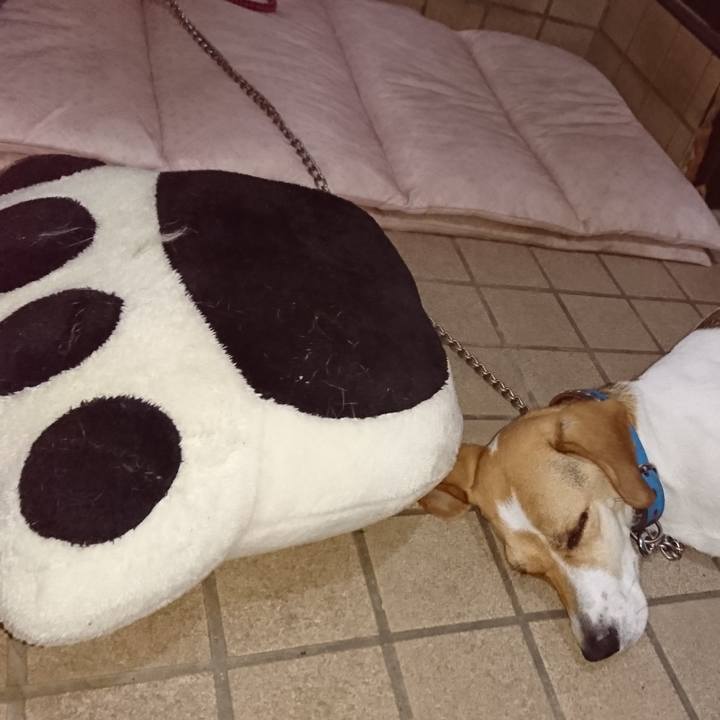 F4d6b2b9 2fc4 4724 8c4c 1a14f0f65625 1564060200380