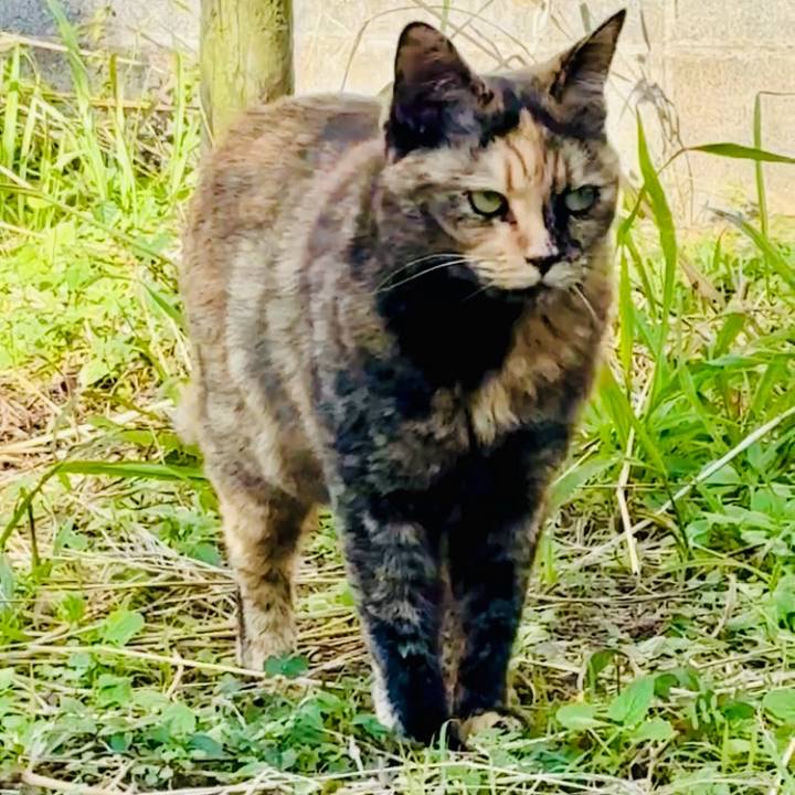 F4d6c52a a0f3 498d a6c3 4dea6e01ad61 1761983663878